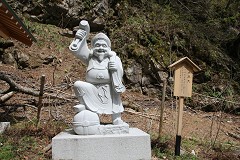 单V